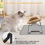 Lannvan Katzennapf Erhöht, 3er Set Futternapf Katze aus Keramik mit Napfunterlage Silikon, Ergonomischer Futterstation 15°gekippte Katzen Hundenapf,Fressnapf und Wassernapf für Katzen und kleine Hunde
