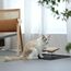 FUKUMARU Katzennapf Erhöht, 15° gekippte Futternapf für Katzen, mit rutschfestem Bambus und Metallhalter, Keramik Fressnapf und Wassernapf im Katzen Napfset für Katzen und Hunde