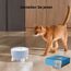 12 Stück Katzenbrunnen Filter - kompatibel mit Catit Pixi Trinkbrunnen Filter mit 3 Pumpenschläuchen und 1 Reinigungsbürste