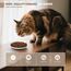 Katzennapf Flach Keramik Futterschale – Futternapf Katze, Whiskerfreundlicher Katzenfutternapf für Nass- & Trockenfutter, rutschfeste Katzenschüssel, Katzenfressnapf mit 4 Katzenspielzeugen