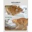 DownyPaws Katzenbrunnen Filter 6er Pack für Fursink Trinkbrunnen für Katze WFP6, 2-Monats-Set Ersatzfilter für Katzentrinkbrunnen