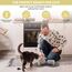 Zosenyer Katzennapf, 2 Stück Keramik Futternapf Katze Set, 3-in-1 rutschfeste Katzennäpfe mit Holzstände und Matten, Fressnapf und Wassernapf für Katzen und Kleine Hunde (Grau)