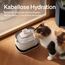 PETLIBRO Katzenbrunnen Kabellos mit Bewegungsmelder Dockstream Trinkbrunnen für Katze Kabellos, Batteriebetrieben Katzen Trinkbrunnen mit Akku 5000mAh, 23dB Ultraleise, Einfache Reinigung, BPA-frei