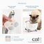 Catit 43721 Pixi Ersatzfilter, Trinkbrunnenfilter für die Catit Pixi Trinbrunnen, 3er Pack