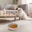 Katzennapf, Flache Futternapf Katze, Set von 6 bunten Katzen Futternapf. Katzennapf Flach, 5,5 Zoll Katzennäpfe, Fressnapf Katze geeignet für Wasser, Trockenfutter und Nassfutter