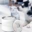 Katzenbrunnen Filter für Trinkbrunnen für Katze,Filter für Katzen Hunde Wasserbrunnen für Katzen Mehrere Haustiere Zubehör 8Stück -BONBELONG