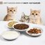 Katzennapf Flach Keramik Futterschale – Futternapf Katze, Whiskerfreundlicher Katzenfutternapf für Nass- & Trockenfutter, rutschfeste Katzenschüssel, Katzenfressnapf mit 4 Katzenspielzeugen (8pc)
