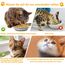6 Stück Katzennapf Edelstahl 304 Material Futternapf Katze Katzen Napf Fressnapf Katze Wassernapf Katzenschüssel Katzen Katzennäpfe Katzenteller Futterschale für Kat-Zen Kleine Hunde (Typ A - 6 Stück)