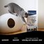 Biokat's Diamond Care Classic Katzenstreu ohne Duft - Feine Klumpstreu aus Bentonit mit Aktivkohle und Aloe Vera - 1 Sack (1 x 10 L) (Packung mit 2)