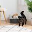 Iris Ohyama, XXL Katzenklo, Katzentoilette Hoher Rand, Grau, Großes Katzenklo, Abnehmbare Ränder, Auslaufschutz, Einfache Reinigung, Für Große Katzen, Zwei Katzen, Maine Coon, BPA-frei – CLH-XL