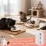 6 Stück Futternapf Katze,Katzennapf Keramik,15 cm Durchmesser, Napf Katze,Katzen Fressnapf,Katzennapf für Haustierkatzen und Welpen(6 Pack-Ohne Silikonbasis)
