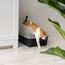 Iris Ohyama Katzenklo mit Schaufel, bis 7 kg, Grau, offen, ohne Deckel, Katzentoilette, hoher Abnehmbarer Rand, Für große Katzen, Kätzchen, Toilet, XXL Toilette, BPA-frei, Cat Litter Box, CLH-12