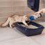 Biokat's Active Pearls - Streuzusatz mit Aktivkohle verbessert Geruchsbindung und Saugfähigkeit der Katzenstreu - 1 Dose (1 x 700 ml)