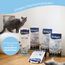 Biokat's Diamond Care MultiCat Fresh Katzenstreu mit Duft - Feine Klumpstreu aus Bentonit mit Aktivkohle speziell für Mehrkatzen-Haushalte - 1 Sack (1 x 8 L)