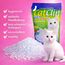 Catclin 8x8l=64l Magic SILIKAT KATZENSTREU-PowerCat STREU-Forever CLEAN