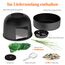 Lifewit Katzenklo Blumentopf mit Pflanze & Schaufel, Katzenklo Versteckt, Katzentoilette XXL mit Geruchskontrolle & Kohlefilter, Wohnzimmer, Schlafzimmer, Ecke, Schwarz