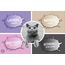 BentoKitty Katzenstreu (30L, 3er Pack) Naturell, Klumpend, weiß, feinkörnig, Klumpstreu aus Bentonite, für Sensitive Katzenpfoten geeignet