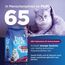Ever Clean Senior Cat, Klumpstreu für Katzen 20 L
