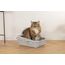 Simon's Cat, Katzentoilette mit Rand L: 43 cm B: 32 cm H: 16 cm grau