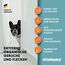PetStandard Enzymreiniger für Katzenurin & Hundeurin – Fleckenentferner & Geruchsentferner für Teppiche & Polster | Extra Schaumkraft | Made in Germany | 750ml