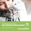 FUKUMARU Tofu Katzenstreu 10,8 kg - Klumpendes Katzenstreu, Geruchsbekämpfung mit grünem Teearoma, staubfrei und leicht klumpend, spülbar in der Toilette.