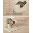 Feandrea Katzenklo, extragroße Katzentoilette, für Mehrkatzenhaushalte, mit hohen Seitenwänden, Katzenstreumatte, Aufbewahrungsbox, Schaufel, für große Katzen, sandbeige PPT003L01