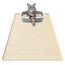 Garoopion Katzenklo Matte, 86x56cm Silikon Katzenstreu Matte Groß, wasserdichte Katzenmatte Katzenklo Unterleger, Katzenstreumatte, Leicht zu Reinigen, Beige