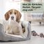 Biodor Animal Spray 150ml - Geruchsneutralisierer, Geruchsentferner & Reiniger für die Tierumgebung - Enzymreiniger Urin, Kot & anderen strengen Gerüchen - Hundeurin, Katzenurin Geruchsentferner