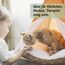 Biodor Animal Spray 150ml - Geruchsneutralisierer, Geruchsentferner & Reiniger für die Tierumgebung - Enzymreiniger Urin, Kot & anderen strengen Gerüchen - Hundeurin, Katzenurin Geruchsentferner
