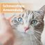 Felisept Wundgel für Katzen 20ml - Wundsalbe für Katzen zur Reinigung und Pflege von Wundbereichen - Wundpflege Katze - Wundschutz Katze für bessere Regeneration