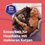 FELIWAY Friends Nachfüllflakon 48ml