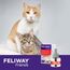 FELIWAY Friends Nachfüller | Pheromone Katzen | 48ml Flakon für die Steckdose | Diffuser gegen Stress, für mehr Harmonie | bis zu 30 Tage Anwendung | von Tierärzten empfohlen, klinisch getestet