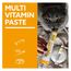 GimCat Multi-Vitamin Paste - Gesunder Katzensnack aktiviert Abwehrkräfte und stärkt das Immunsystem - 1 Tube (1 x 200 g)