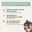 AniForte Grünlippmuschelpulver für Hunde & Katzen 100g - VERGLEICHSSIEGER 2023 Gelenkpulver in Vollfettqualität, unterstützt Gelenke & Agilität, Grünlippmuschel Pulver mit hoher Akzeptanz