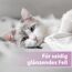 Felisept Fellpflegespray für Katzen 250ml - Entfilzungsspray Katze verfilztes Fell entfernen, besonderer Schutz & Pflege für das Katzenfell - Erleichtert das Auskämmen