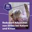 FELIWAY Optimum Nachfüllflakon für Katze | Pheromone zur Reduktion von Harnmarkieren, Kratzen oder Verstecken | sorgt für mehr Harmonie zwischen Katzen | 48ml