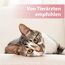 Felisept Augenpflege-Pads für Katzen 100 Stück - Mit Aloe Vera Extrakt - Fingerlinge zur Reinigung & Pflege des Augenumfelds - Katzen Pflege gegen Schmutz & Tränenstein - Augenreiniger Katze