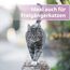 Felisept Pfotenpflege für Katzen 75g - Pfotenpflege Katze - Pfotenbalsam Katze - Schützt vor Austrocknung und Rissen - Schnell einziehend, ohne Fettfilm - Reichhaltige Pflege und Feuchtigkeit