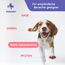 Vetasan Wundspray für Hunde & Katzen 150ml I Wunddesinfektion Katze I Für Haut und Pfoten I OHNE Alkohol & CHLOR I Desinfektionsmittel Tiere