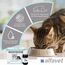 alfavet ReConvales Tonicum Katze, 6 x 45ml, appetitanregendes Ergänzungsfuttermittel zur Rekonvaleszenz und bei Untergewicht