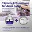 FELIWAY Optimum Nachfüllflakon für Katze | Pheromone zur Reduktion von Harnmarkieren, Kratzen oder Verstecken | sorgt für mehr Harmonie zwischen Katzen | 48ml