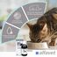 alfavet ReConvales Tonicum Katze, 280 ml, appetitanregendes Ergänzungsfuttermittel zur Rekonvaleszenz und bei Untergewicht