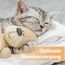 Felisept Wundspray für Katzen 75ml - Wundspray Katze zur Reinigung von Wunden, Haut und Scheimhäuten - Wundpflege Katze - Einfach in der Anwendung und schmerzfrei für die Katze