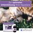 Alfavet ReConvales AntiPhos, zur Unterstützung der Nierenfunktion von Katzen und Hunden, Nahrungsergänzung mit Phosphatbinder, 3 x 90 ml Flaschen