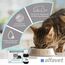alfavet ReConvales Tonicum Katze, 3 x 45ml, appetitanregendes Ergänzungsfuttermittel zur Rekonvaleszenz und bei Untergewicht