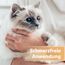 Felisept Wundspray für Katzen 75ml - Wundspray Katze zur Reinigung von Wunden, Haut und Scheimhäuten - Wundpflege Katze - Einfach in der Anwendung und schmerzfrei für die Katze