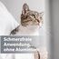 Felisept Mikro Silberspray für Katzen 75ml - Silberspray Katze gegen Juckreiz, Wundspray Katzen, Schmerzfrei & ohne Aluminium & kolloidales Silber, Einfache Anwendung