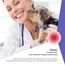 Vetasan Wundspray für Hunde & Katzen 150ml I Wunddesinfektion Katze I Für Haut und Pfoten I OHNE Alkohol & CHLOR I Desinfektionsmittel Tiere