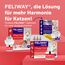 FELIWAY Friends Vorteilspack