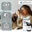 alfavet ReConvales Tonicum Katze, 2 x 6 x 45ml, appetitanregendes Ergänzungsfuttermittel zur Rekonvaleszenz und bei Untergewicht